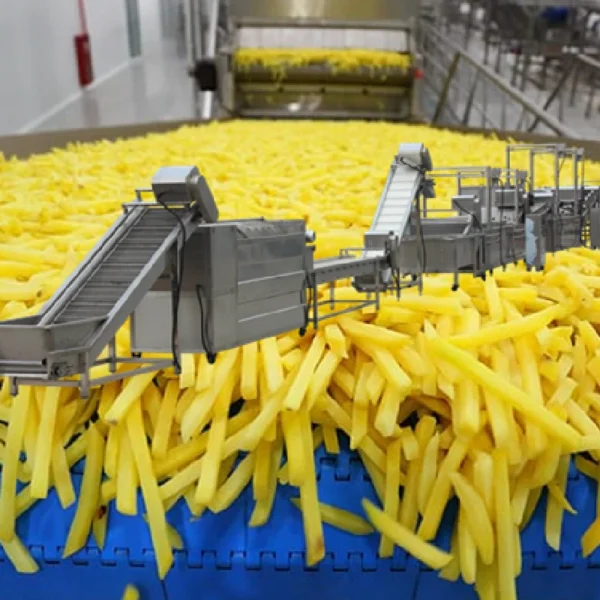 1/4 French Fries Production Line Frozen French Fries Machine